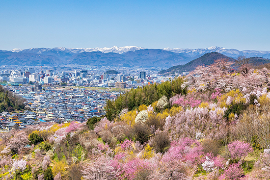 福島市・郡山市の投資物件の市場動向分析